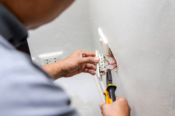 Best Affordable Electrician  in Spring Hill, FL